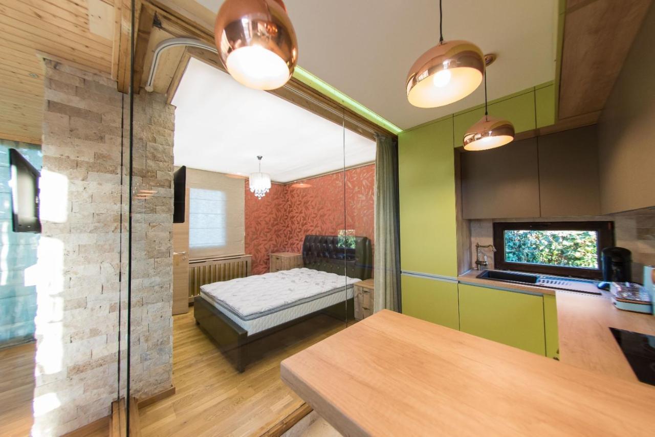Kopel Haus - Studio - Self Acces Cod Location 巴洛泰什蒂 外观 照片