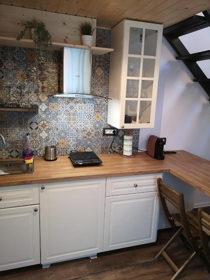 Kopel Haus - Studio - Self Acces Cod Location 巴洛泰什蒂 外观 照片