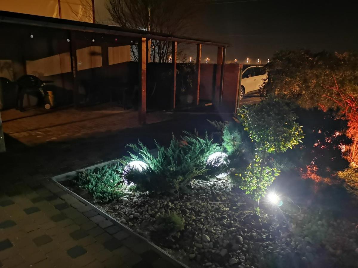 Kopel Haus - Studio - Self Acces Cod Location 巴洛泰什蒂 外观 照片
