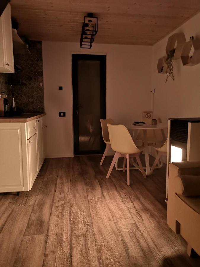 Kopel Haus - Studio - Self Acces Cod Location 巴洛泰什蒂 外观 照片