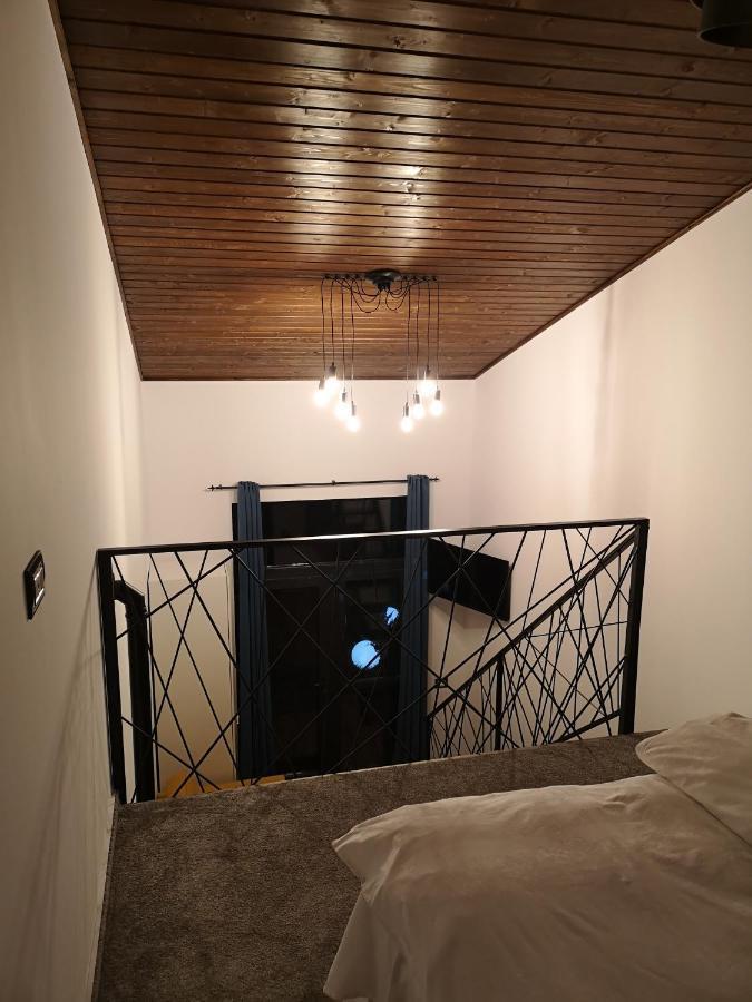 Kopel Haus - Studio - Self Acces Cod Location 巴洛泰什蒂 外观 照片