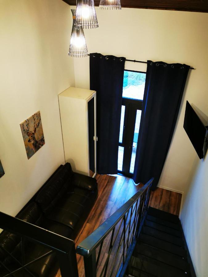 Kopel Haus - Studio - Self Acces Cod Location 巴洛泰什蒂 外观 照片