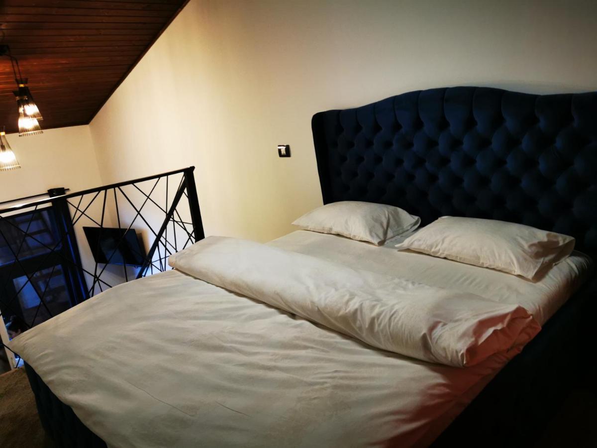 Kopel Haus - Studio - Self Acces Cod Location 巴洛泰什蒂 外观 照片