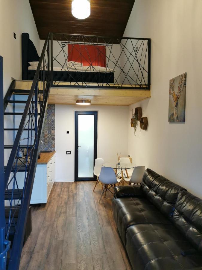 Kopel Haus - Studio - Self Acces Cod Location 巴洛泰什蒂 外观 照片